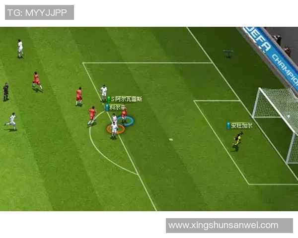 足球球星蛋疼引热议 球场外的痛苦挑战与职业生涯的艰难抉择